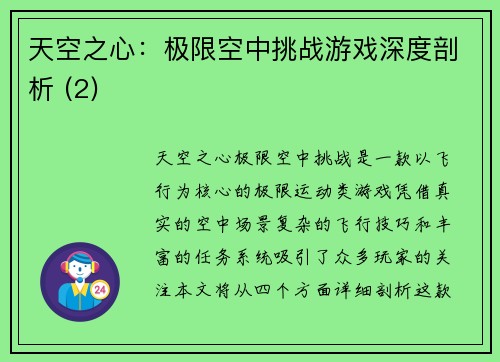 天空之心：极限空中挑战游戏深度剖析 (2)